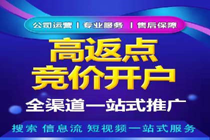 百度竞价广告在电商行业的应用及效果展示